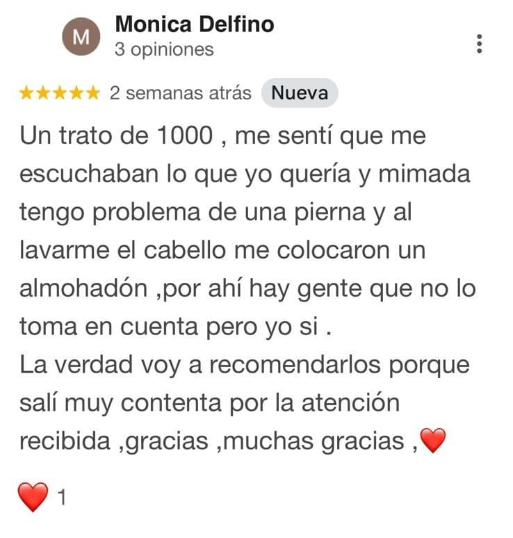 Reseña de Monica Delfino
